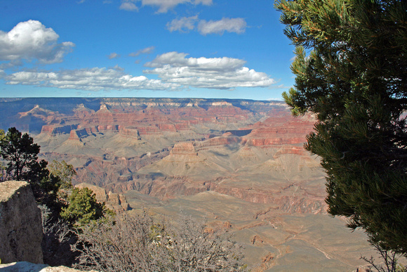 Majestic Grand Canyon (Elizabeth “Liz” Weiler)