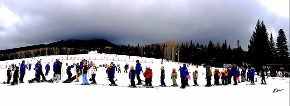 Honorable Mention: White Arizona at Snow Bowl Flagstaff AZ (Rosalina Siswara)