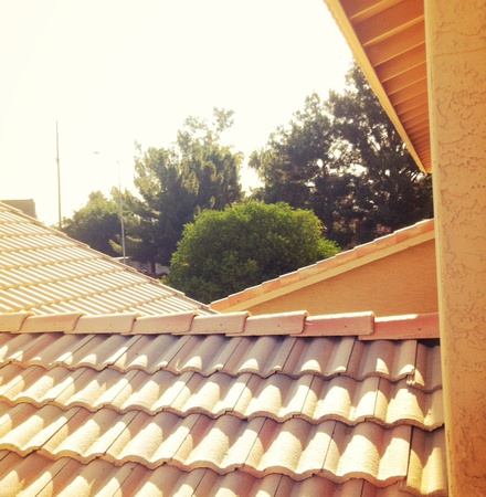 Sea of Tiled Roofs (Fawzia Mai Tung)